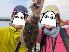 ヒラメの釣果