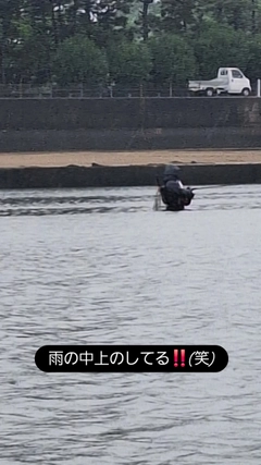エイの釣果