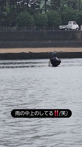 エイの釣果