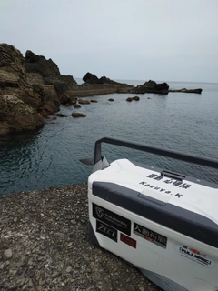 グレの釣果