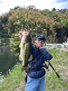 ラージマウスバスの釣果