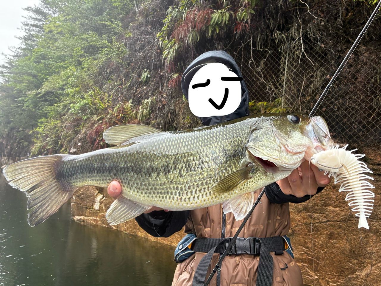 ブラックバスの釣果写真