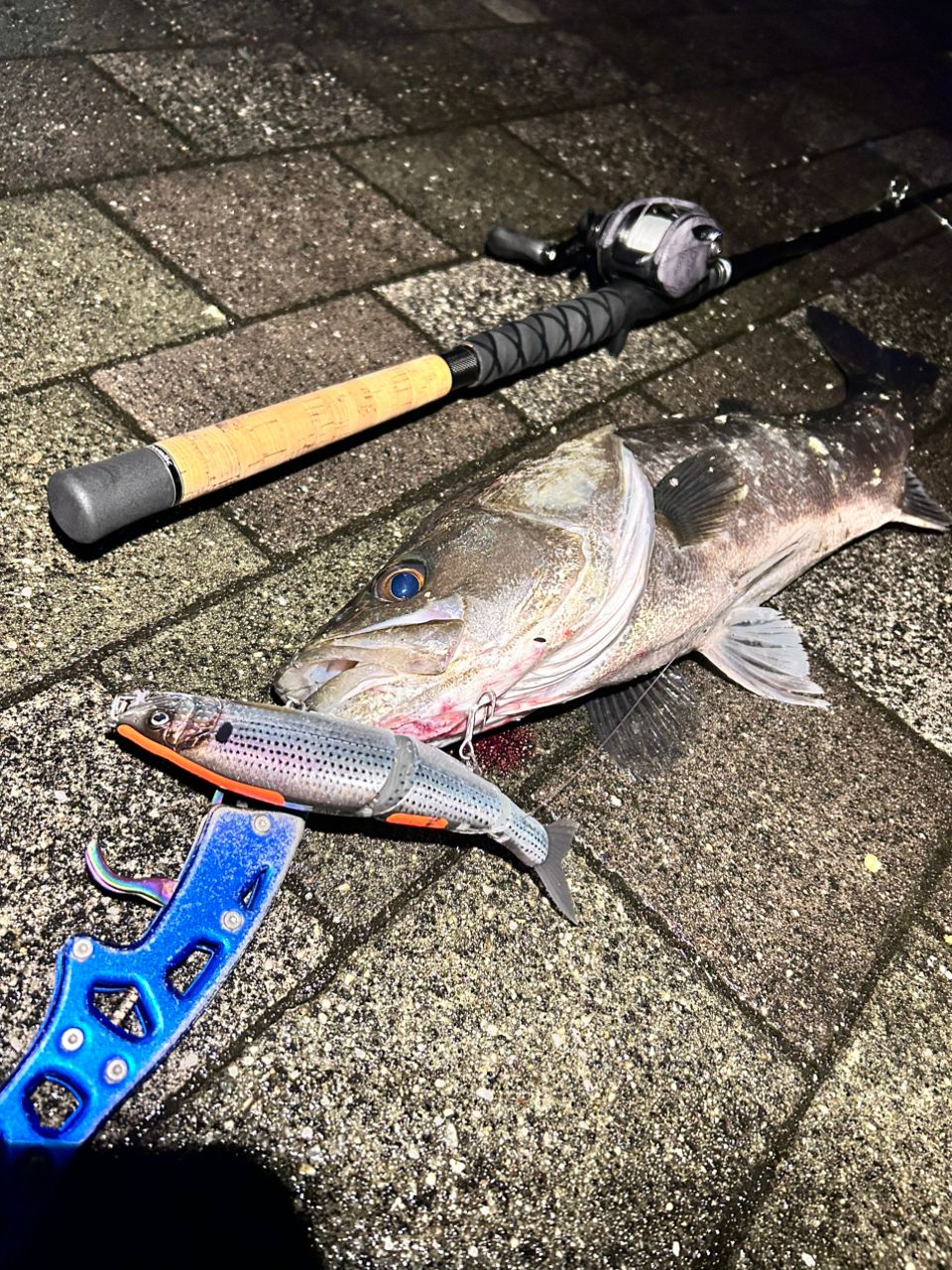 DAIWA 21タトゥーラ TW 300XHLの最安値・インプレ・釣果 | 本音の