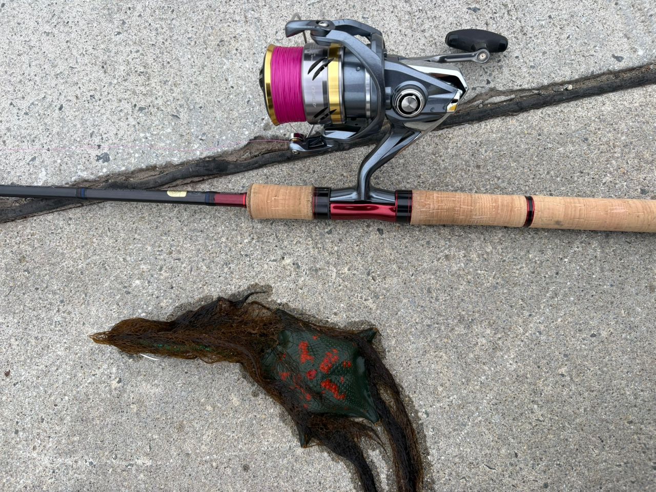 SHIMANO 19スコーピオン 2702R-2の最安値・インプレ・釣果 | 本音の