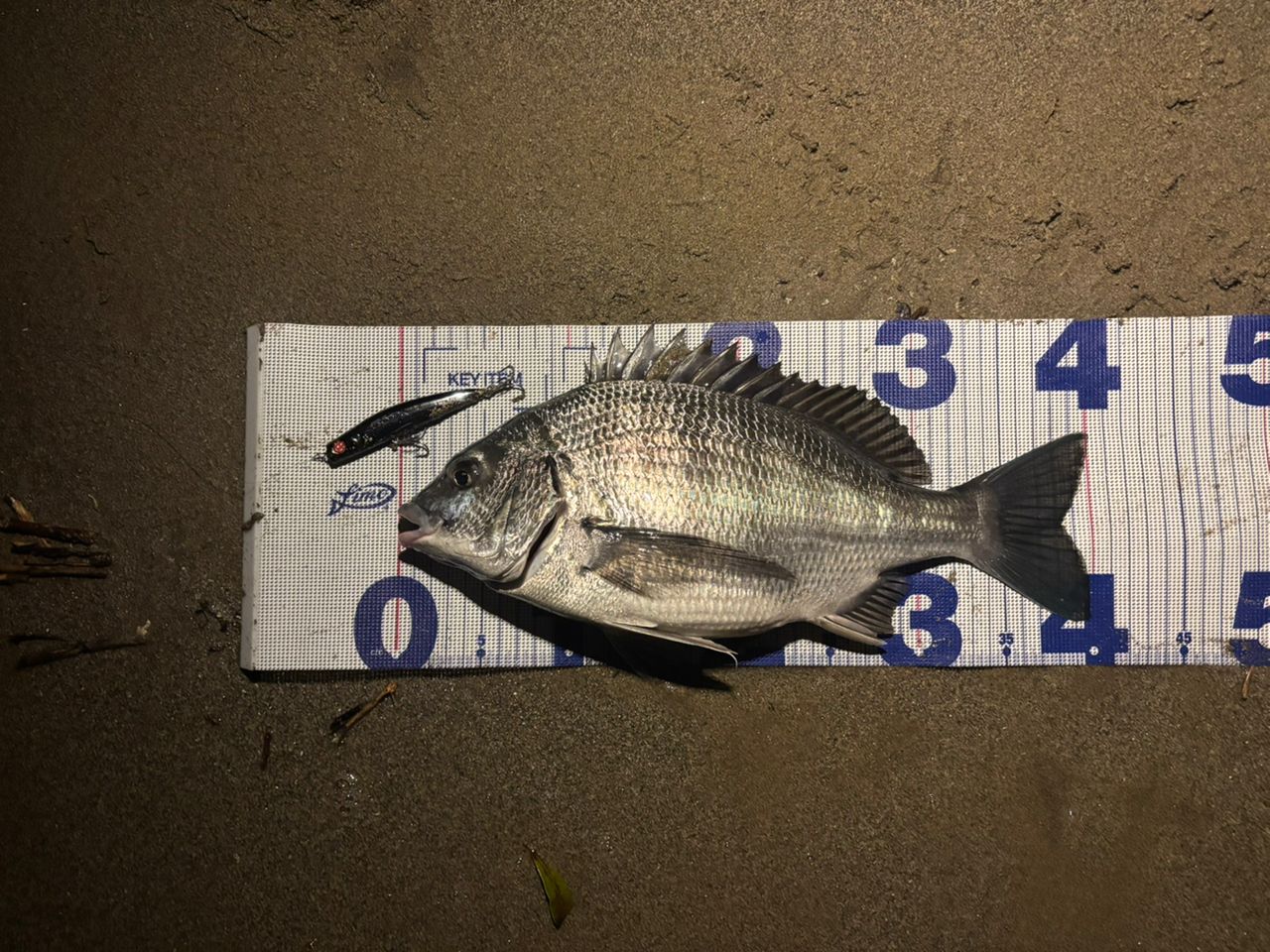SHIMANO 23ディアルーナ S100MLの最安値・インプレ・釣果 | 本音の