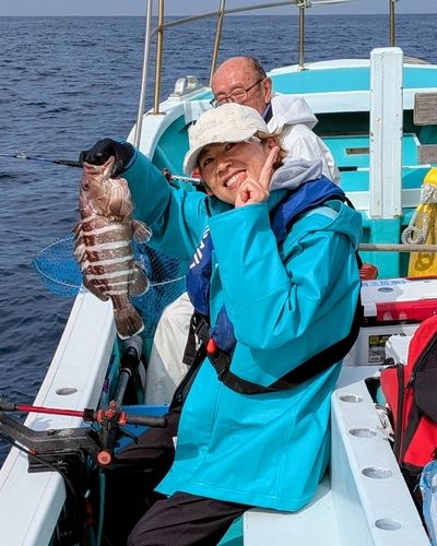 マハタの釣果