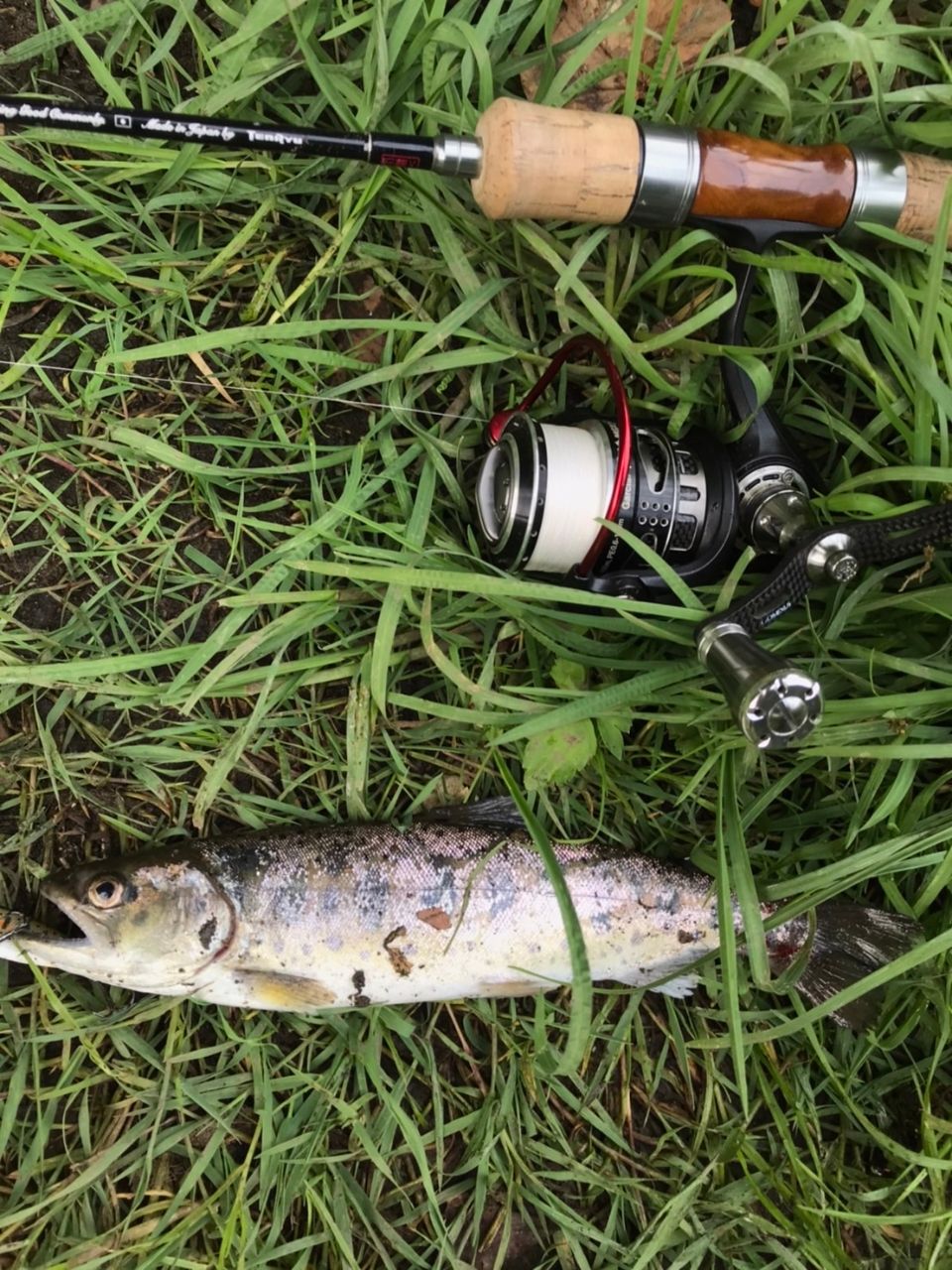 AbuGarcia レボ MGX シータ 2020年モデルの最安値・インプレ・釣果