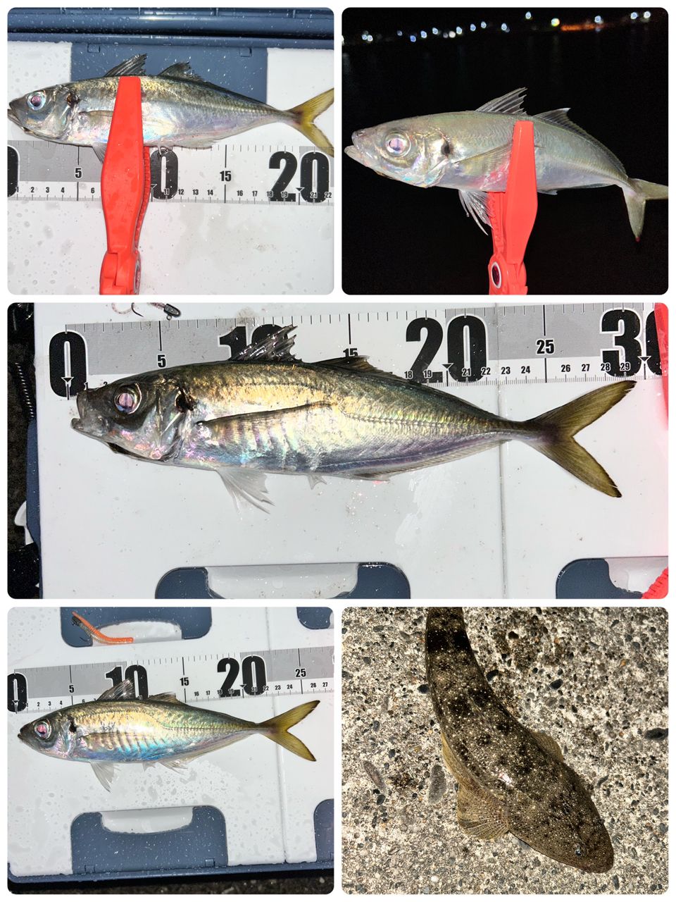 SHIMANO 19ストラディック 1000Sの最安値・インプレ・釣果 | 本音の