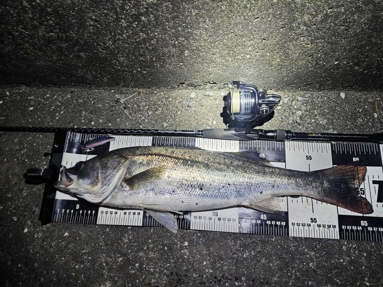 SHIMANO 18エクスセンスジェノス S96M/Rの最安値・インプレ・釣果