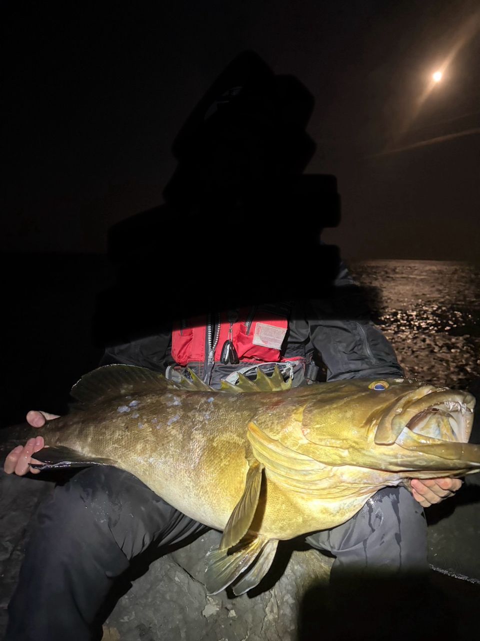 SHIMANO 22リアルパワー石鯛 MH500の最安値・インプレ・釣果 | 本音の