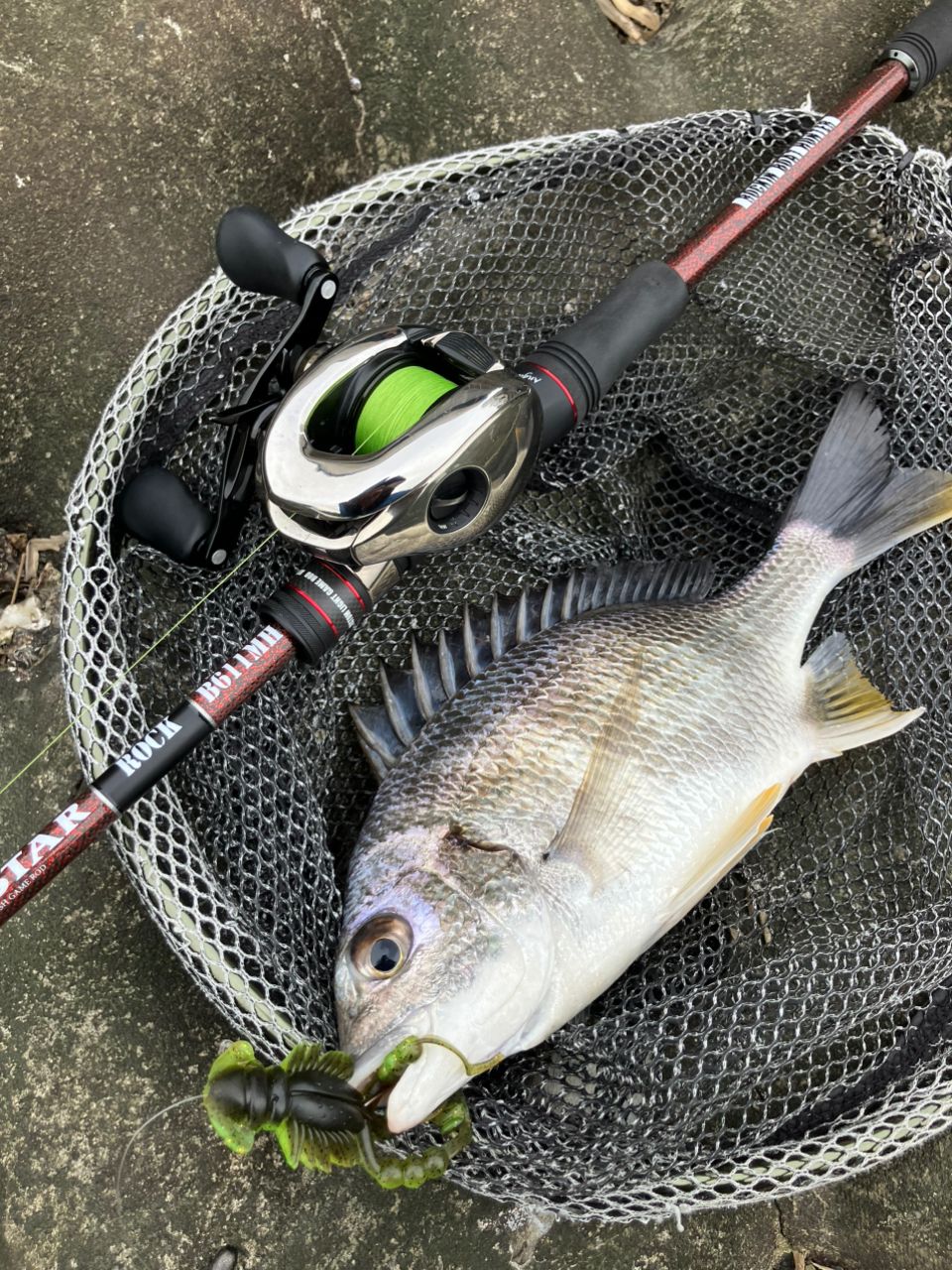 SHIMANO 21アンタレス DC XG RIGHTの最安値・インプレ・釣果 | 本音の