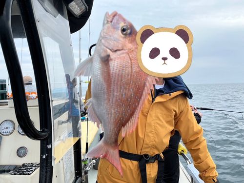 タイの釣果