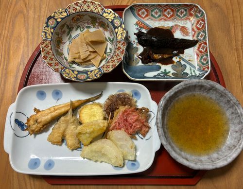 カタクチイワシの釣果