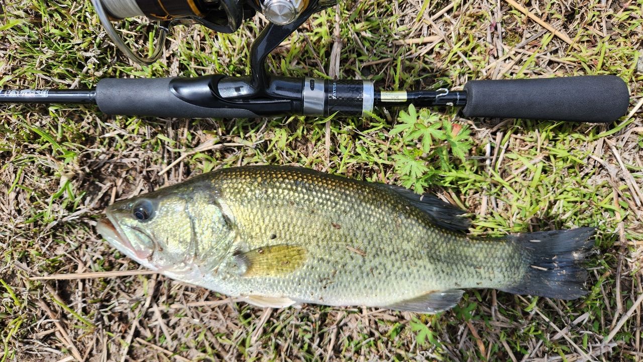 DAIWA 21ブレイゾン C66M-2の最安値・インプレ・釣果 | 本音の口コミが