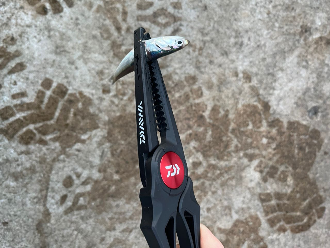 DAIWA 15リバティクラブ 磯風 2号-45・Kの最安値・インプレ・釣果