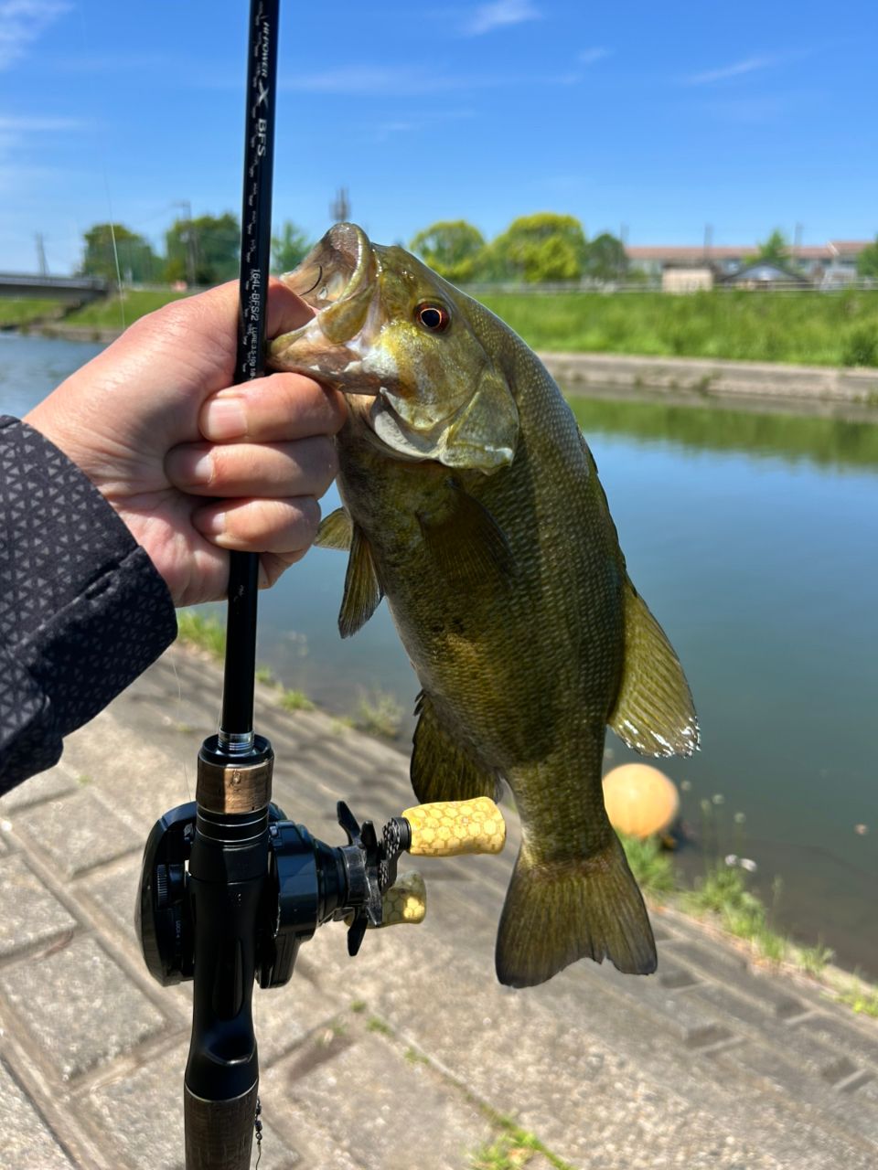 SHIMANO 17エクスプライド 164L-BFS/2の最安値・インプレ・釣果 | 本音