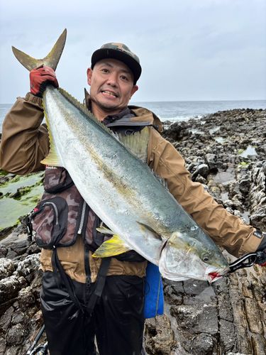 ヒラマサの釣果