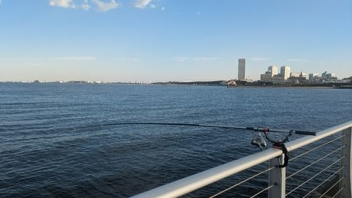 カタクチイワシの釣果