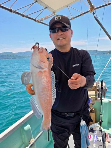 シロアマダイの釣果