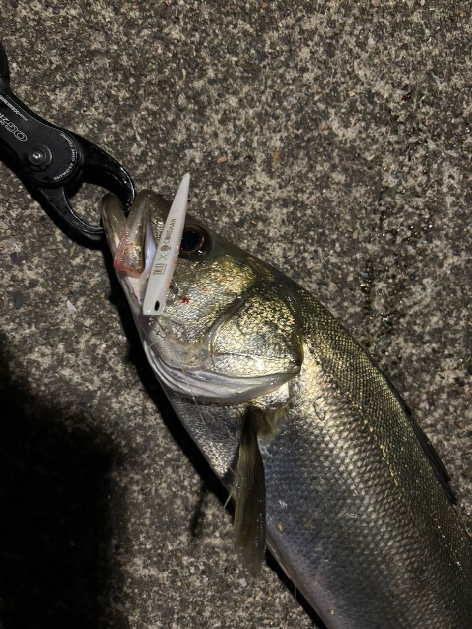 SHIMANO 18エクスセンスジェノス S810ML/Rの最安値・インプレ・釣果
