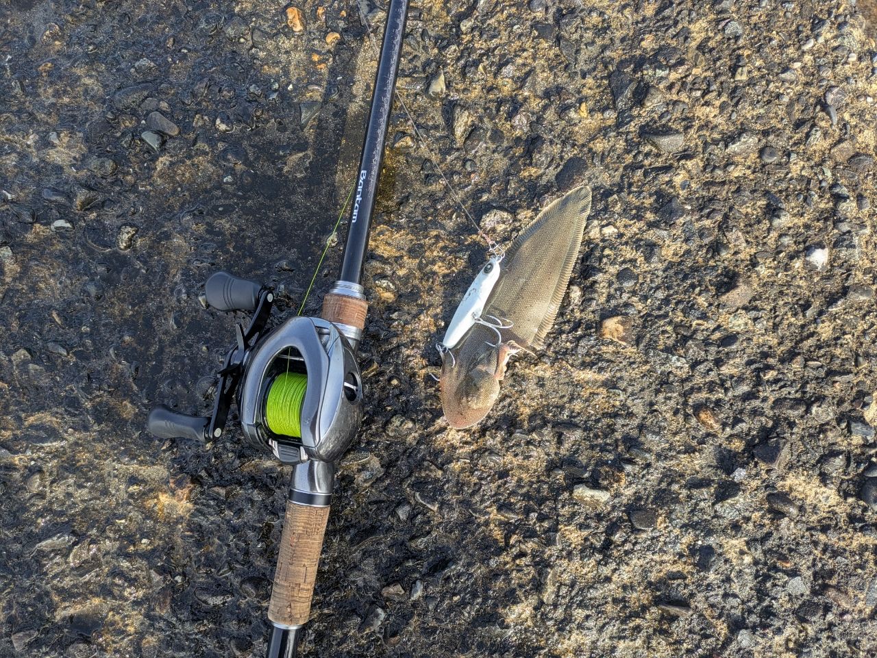 SHIMANO 18バンタム 1711H-SBの最安値・インプレ・釣果 | 本音の口コミ