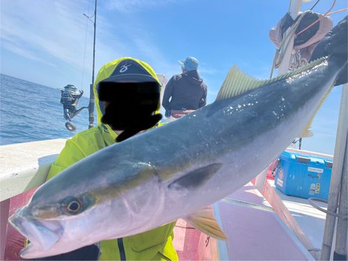 ワラサの釣果