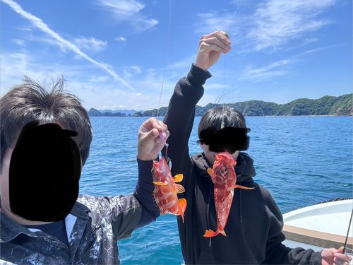 オオモンハタの釣果