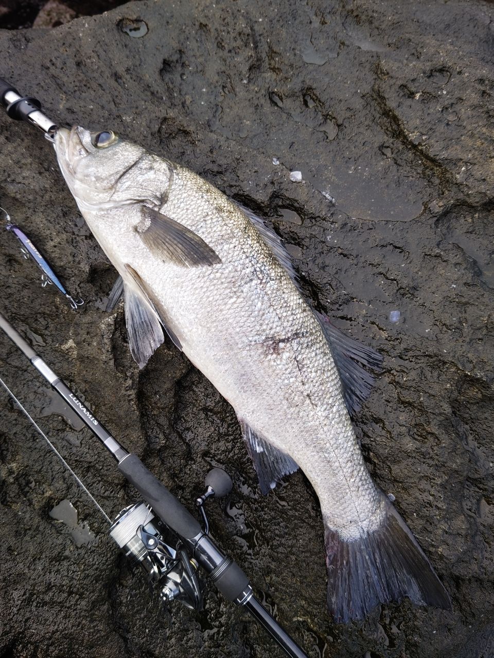 SHIMANO 20ルナミス S100MHの最安値・インプレ・釣果 | 本音の口コミが