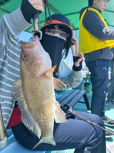 オオモンハタの釣果