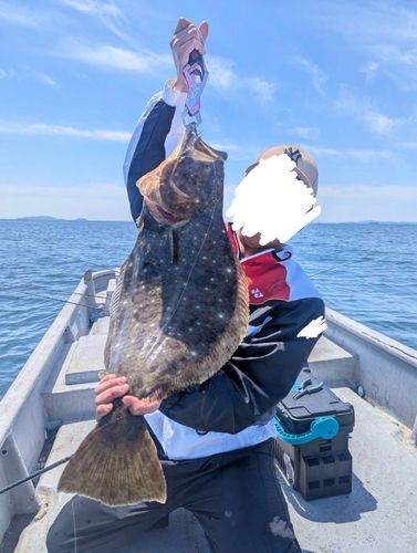 ヒラメの釣果