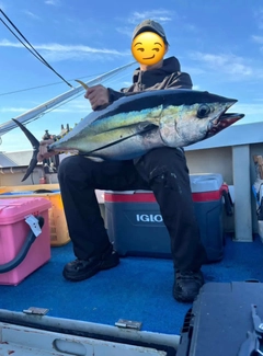キメジの釣果