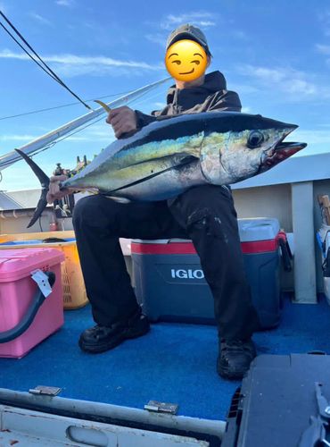 キメジの釣果