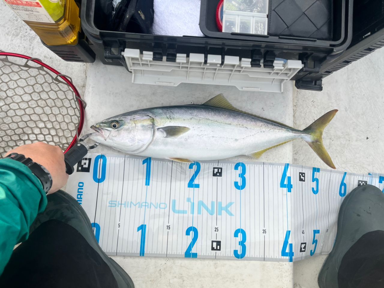 SHIMANO 20ゲーム タイプスロー J B66-3の最安値・インプレ・釣果