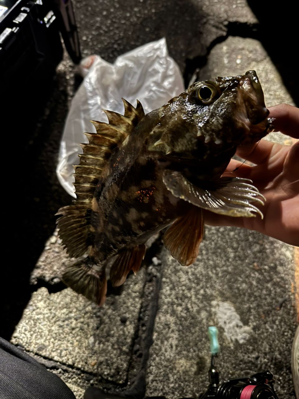 SHIMANO 21ソアレXR S60SUL-Sの最安値・インプレ・釣果 | 本音の口コミ