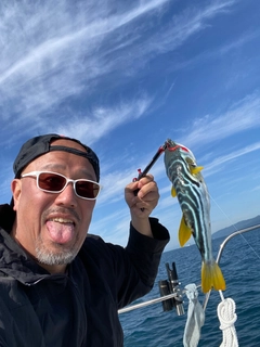 フグの釣果