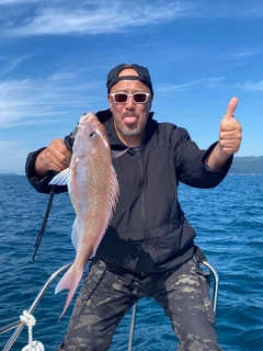 タイの釣果