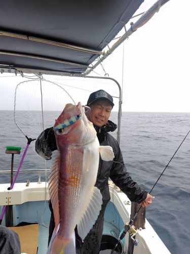 アマダイの釣果