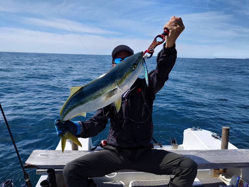メジロの釣果