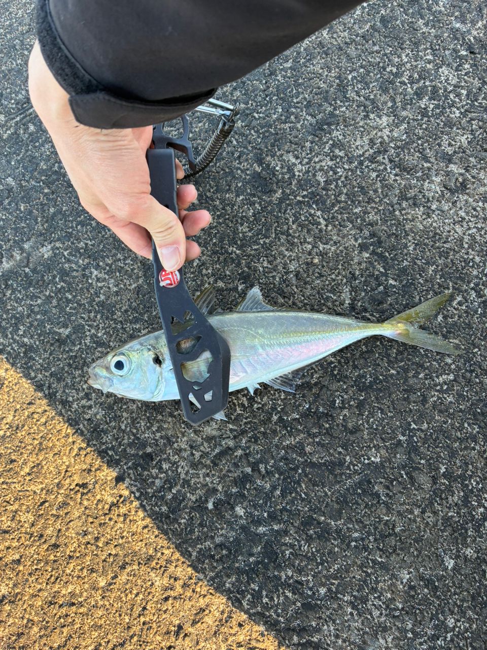 SHIMANO 17ソアレ CI4+ アジング S608UL-Sの最安値・インプレ・釣果