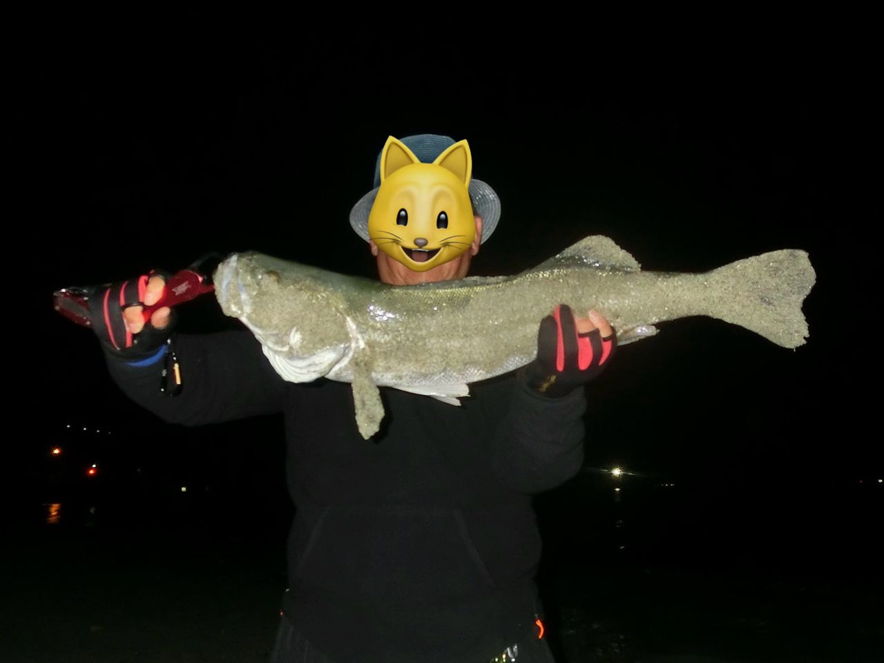 シーバスの釣果写真