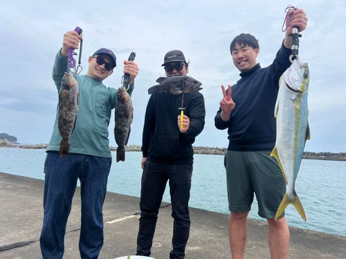 ヒラマサの釣果