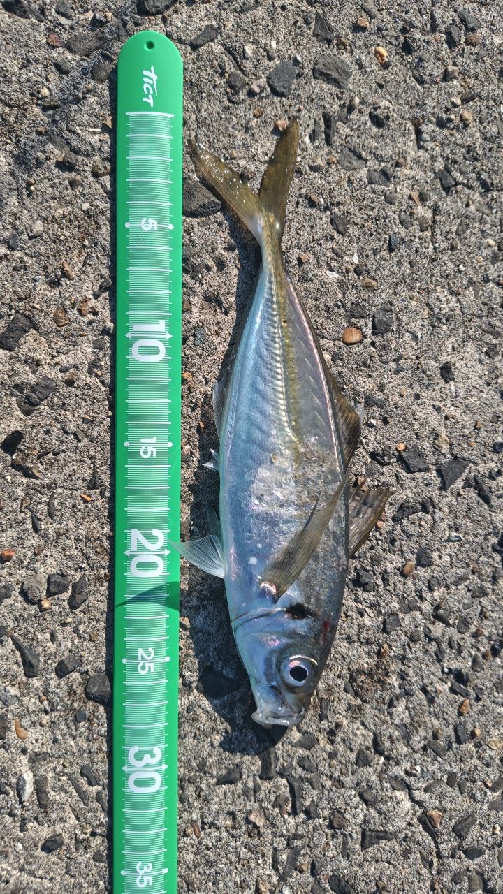 AbuGarcia ソルティーステージ プロトタイプ アジング XAJS-642ULSSの