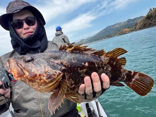 ベッコウゾイの釣果