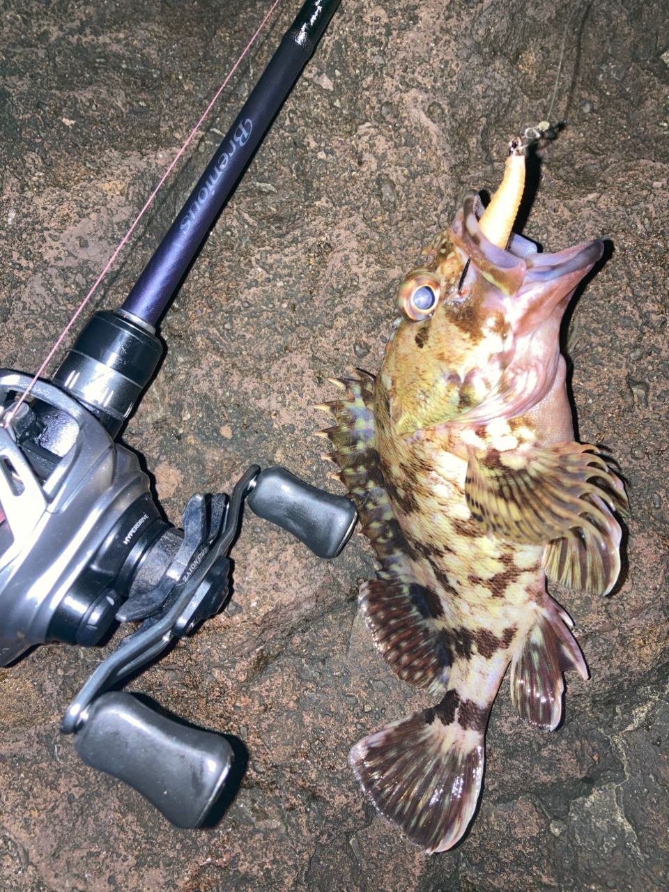 SHIMANO 19ブレニアス B73L+の最安値・インプレ・釣果 | 本音の口コミ