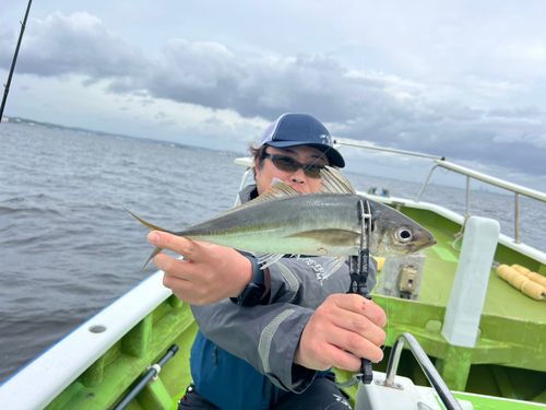 マアジの釣果