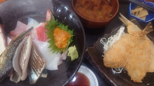 エソの釣果