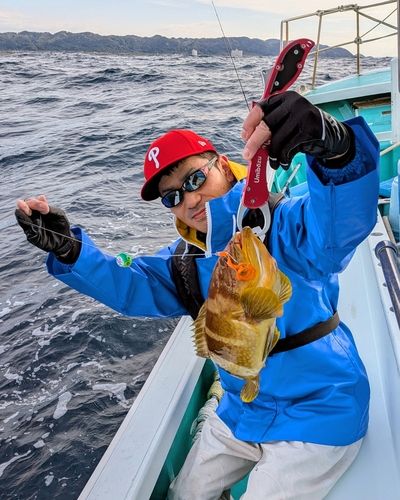 アオハタの釣果