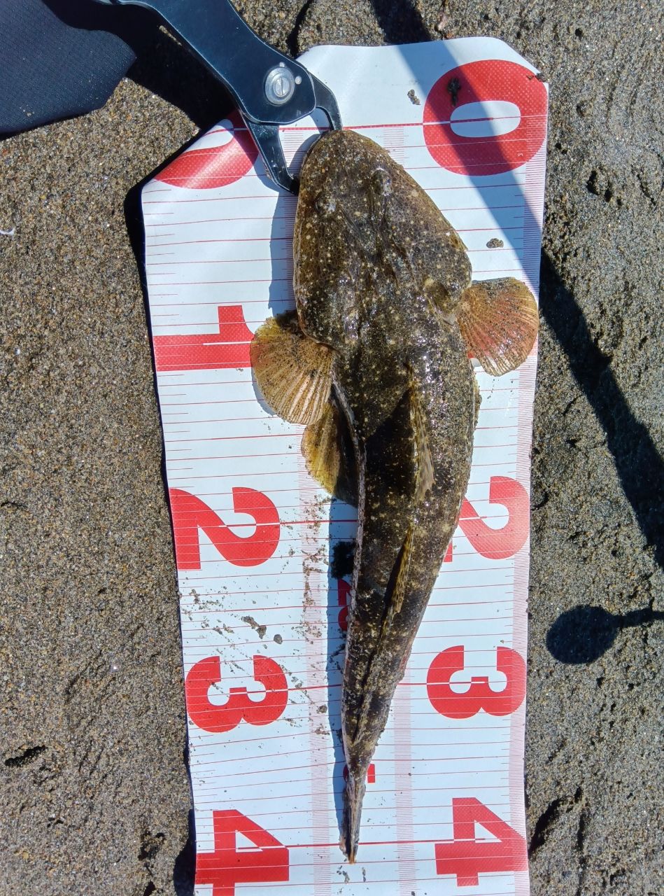 釣り人しげさんの2026年05月06日(水)の釣行(宮城県 - 鳥の海