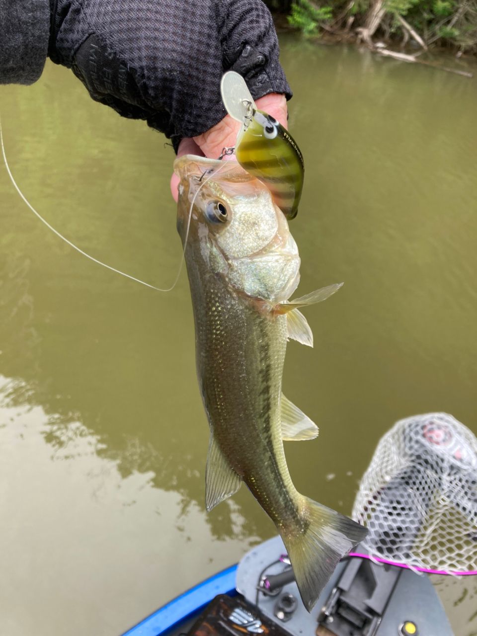SHIMANO 22エクスプライド 163L-BFS/2の最安値・インプレ・釣果 | 本音