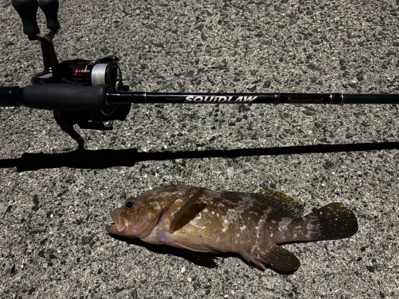 SHIMANO 17セフィア CI4+ C3000SDHHGの最安値・インプレ・釣果 | 本音